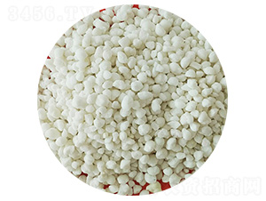 �w�����ʘ�Ʒ-ʢ�����l(xi��ng)