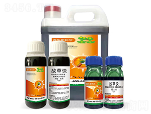 200��/�����ݿ�ˮ��-��˹����