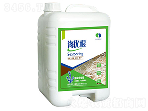 ����(y��u)���_ʩ��-�{(l��n)ؐ��