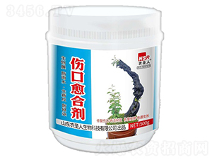 �������τ�-�r(n��ng)ʥ��