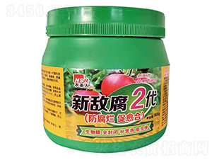 ����2��-�r(n��ng)ʥ��