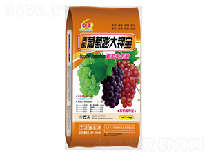 �������⛌�-�����ʘI(y��)