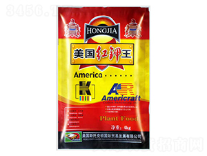 �����t���-�����ʘI(y��)