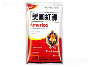 �����t�-�����ʘI(y��)