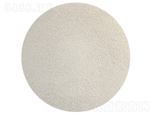 ����һ�@���w����-��ӷʘI(y��)