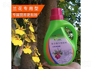 �m�������͏�(f��)��΢�������-������