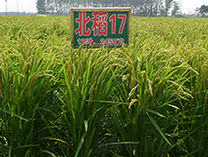 ����17̖(h��o)-ˮ���N��-���ϷN�I(y��)