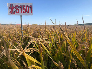 ��S1501-ˮ���N��-���ϷN�I(y��)