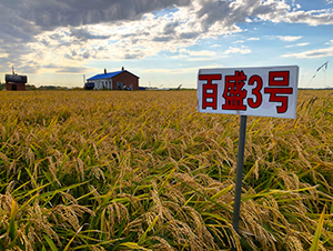 ��ʢ3̖(h��o)-ˮ���N��-���ϷN�I(y��)