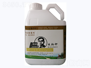 �����-�A�I����