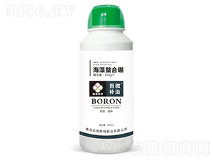 ����������-��΢�a��-���S˹�طʘI(y��)