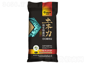 ΢�������-������-�xҫ����