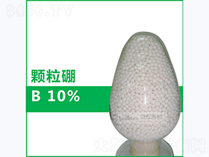 10%�w����-�����Ƽ�