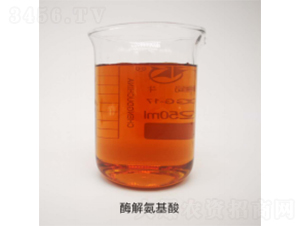 ø�ⰱ����-�����Ƽ�