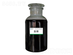 ���-�h�����B(t��i)