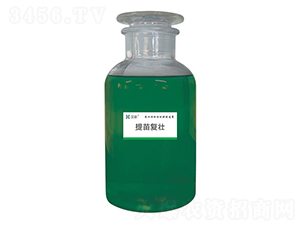 �����(f��)��-�h�����B(t��i)