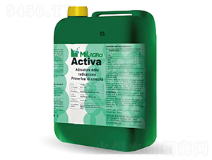 ����������-���h(yu��n)