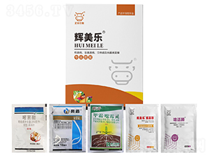 ���������o�����������ݲ�����ή���ײ�-�x����-���A����