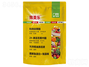 �V�V�����a�ײ�-�x����-���A����