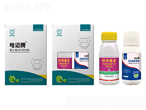 ���~�v���x(ch��ng)�ײ�-���A����