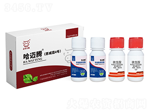 �׷�ʭ��(qi��ng)���M���ײ�-���~�v-���A����