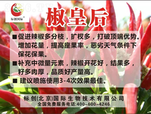 �~���-���ʺ�-��(bi��o)��(chu��ng)���H