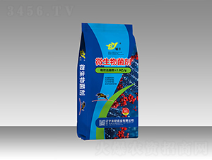 2�|��΢�������-�SҰ�r�I(y��)