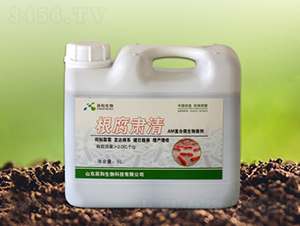 �����C��-��������