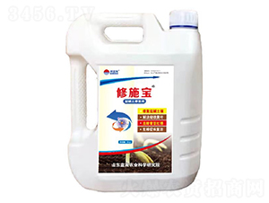 ��ʩ���}�A���ޏ�(f��)��-�{��