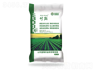 ���������ޏ�(f��)��-�{��