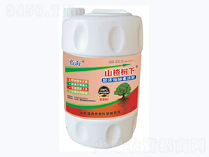 ɽ高��³���s����Һ��-�{��