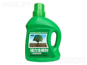 500mlǤ�塤������������������-�ֱ�ķ-�T�ַ���