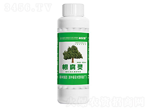 ��ľ���ܲݱ����ø����`-�T�ַ���