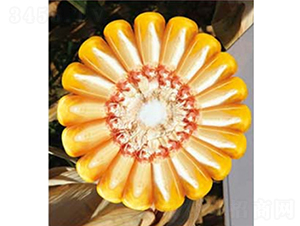 ������Q159-���׷N��-�A��¡�N�I(y��)