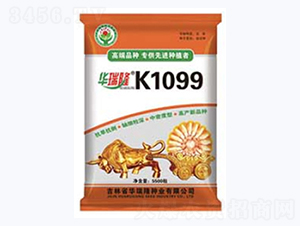 K1099-���׷N��-�A��¡�N�I(y��)