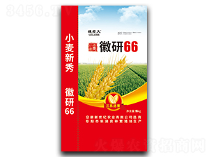 ����66-С���N��-���߷N�I(y��)