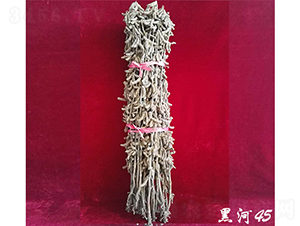 �ں�45-�󶹷N��-��D�N�I(y��)