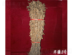 �A��2̖-�󶹷N��-��D�N�I(y��)