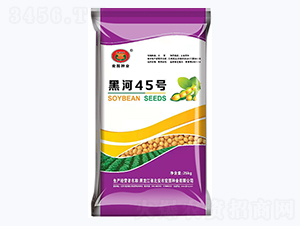 �ں�45̖-�󶹷N��-��D�N�I(y��)