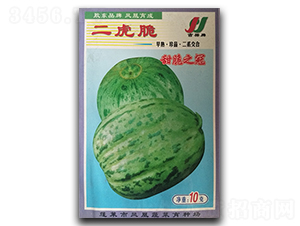 ������-��ϷN��-�P�˷N�I(y��)