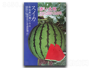 �t̫��-���ϷN��-�P�˷N�I(y��)