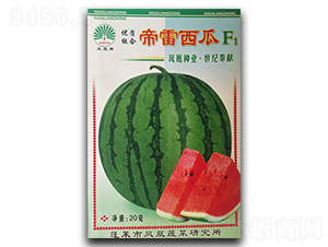 ����-���ϷN��-�P�˷N�I(y��)