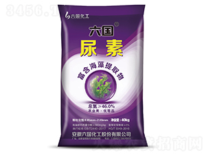 ��������-����(gu��)����