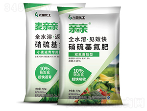 ���������-�H�H-��������