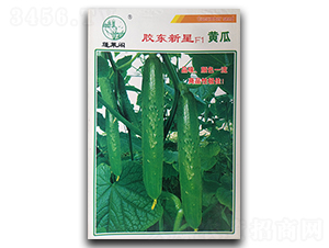 �z�|����F1-�S�ϷN��-�P�˷N�I(y��)