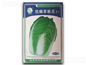 ����������-�ײ˷N��-�P�˷N�I(y��)