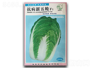 ��������݆-�ײ˷N��-�P�˷N�I(y��)