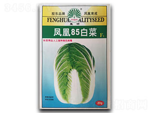 �P��85-�ײ˷N��-�P�˷N�I(y��)