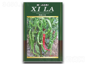 ����3̖(h��o)-�����N��-�ؼt�N�I(y��)