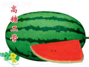 ���Ƕ�̖(h��o)-���ϷN��-�ؼt�N�I(y��)